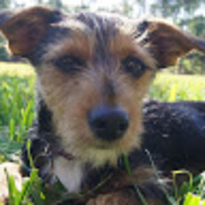 Meet your Posher, Max